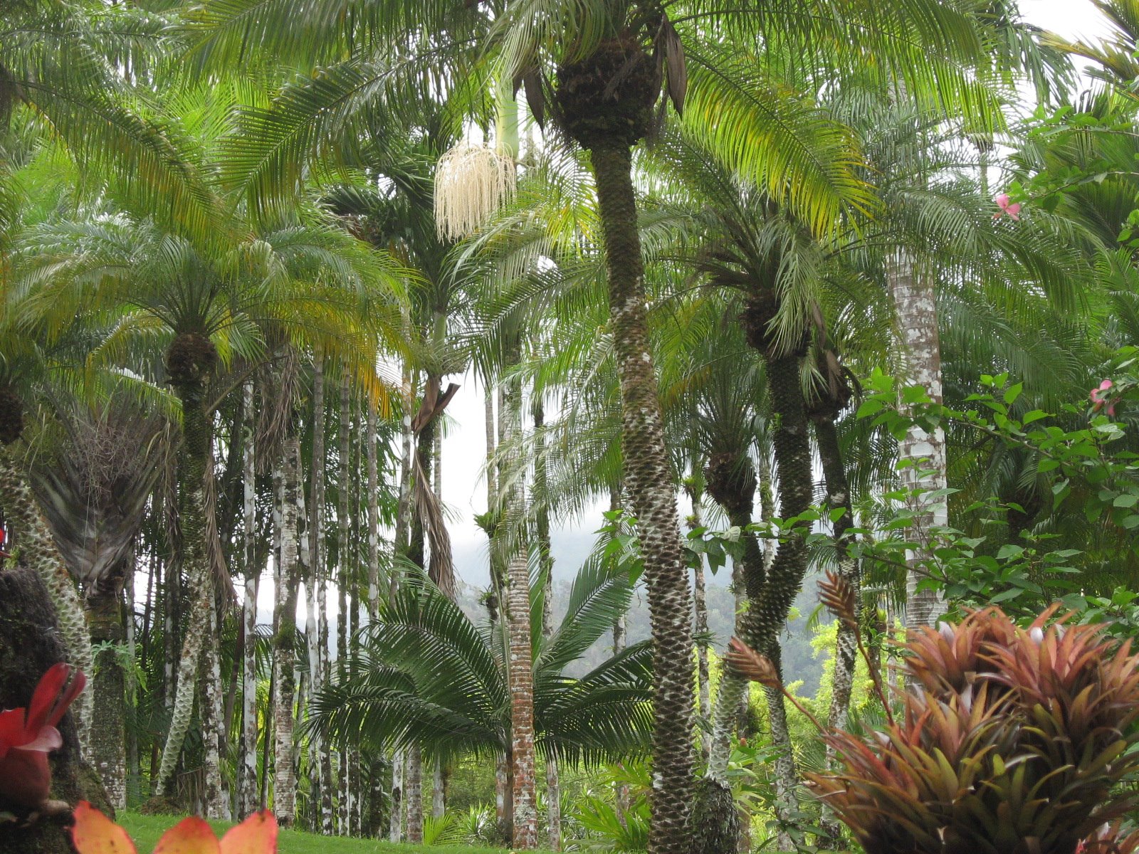 [IMG_1925.JPG]