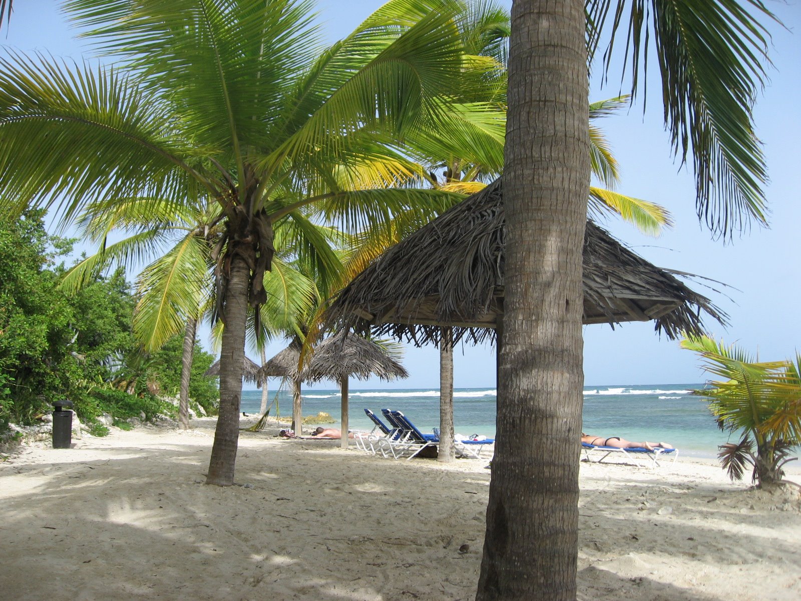 [IMG_2091.JPG]