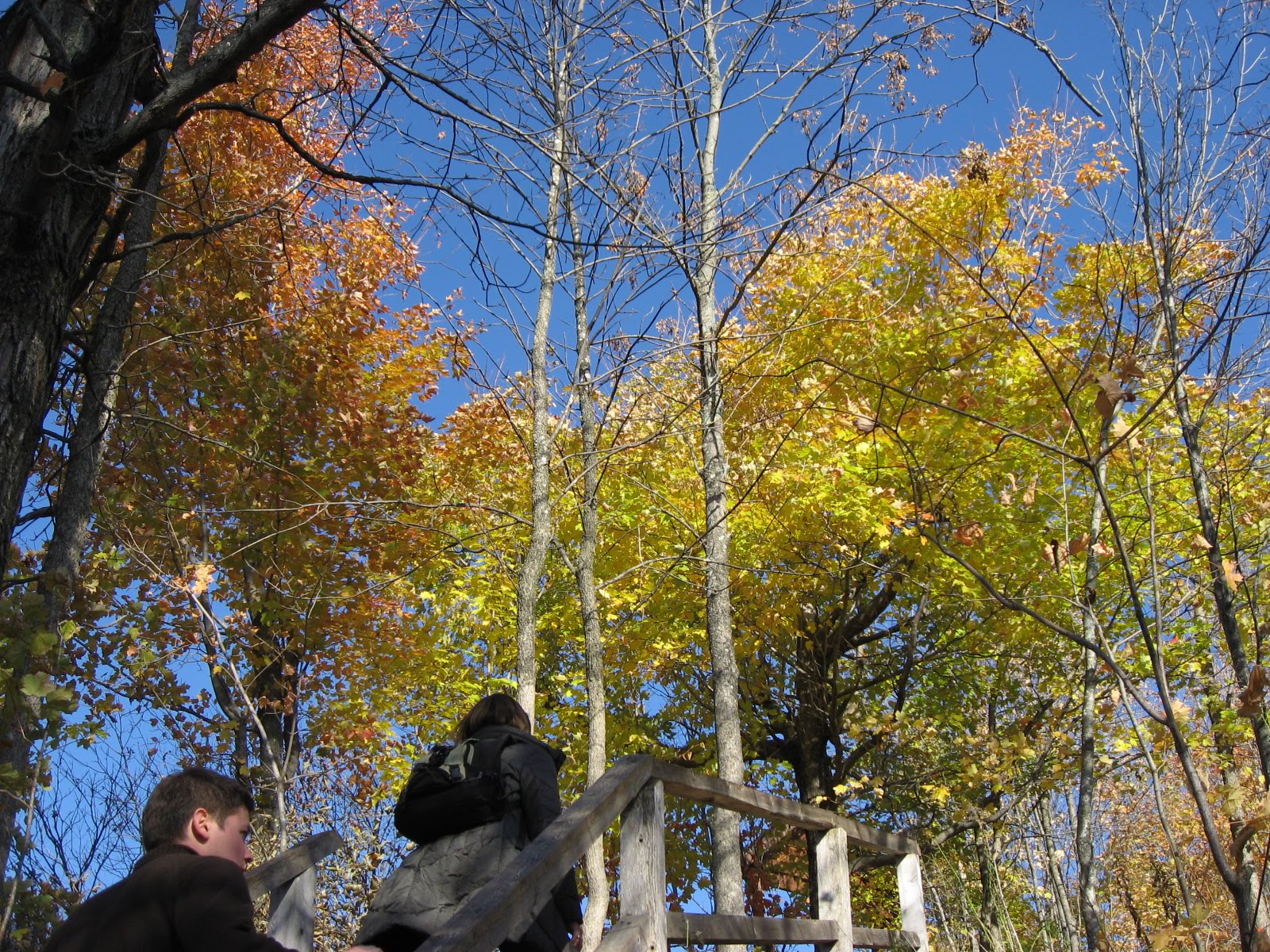 [IMG_2723.JPG]