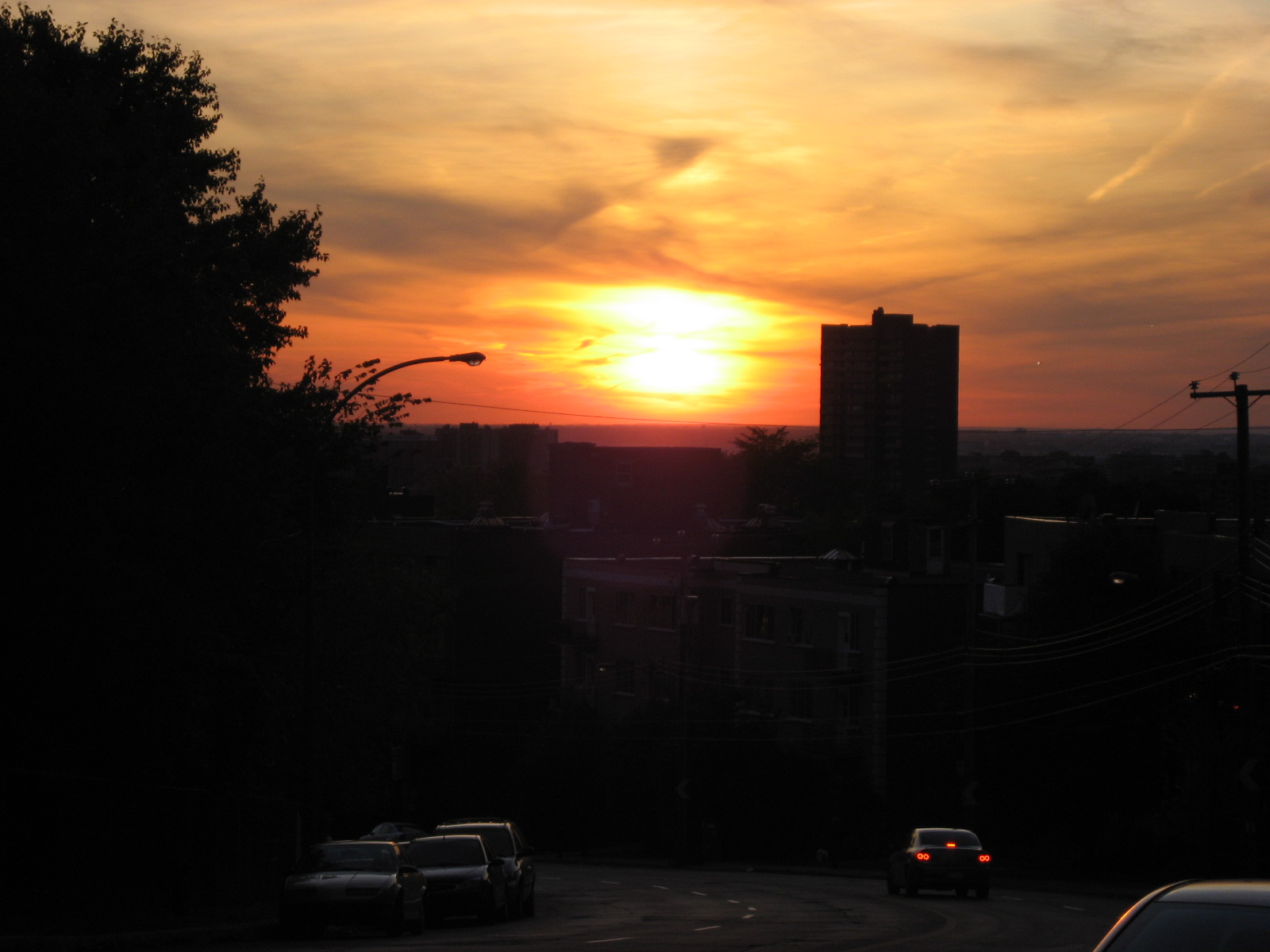 [IMG_2571.JPG]