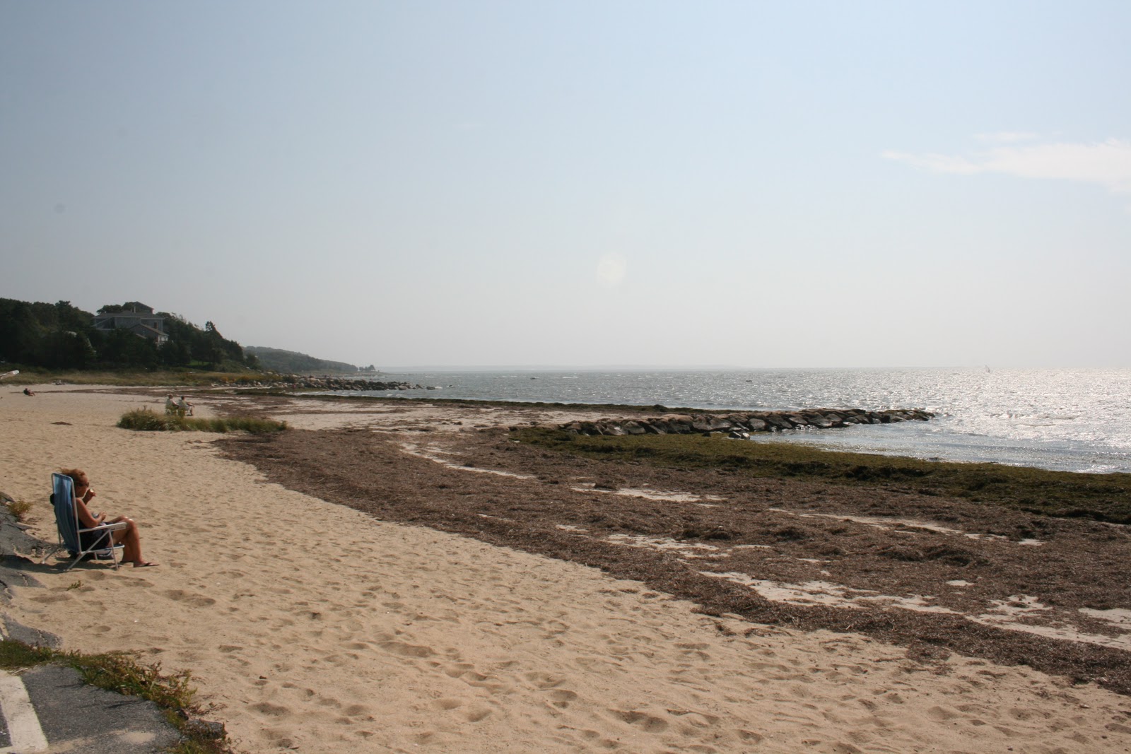 Waypoints Ocean Conservancy International Coastal Cleanup Results for