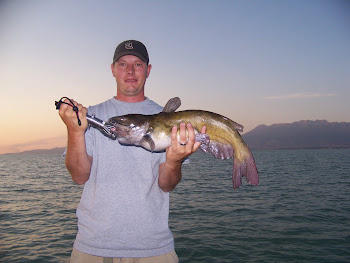 7 lb Utah Lake Catfish
