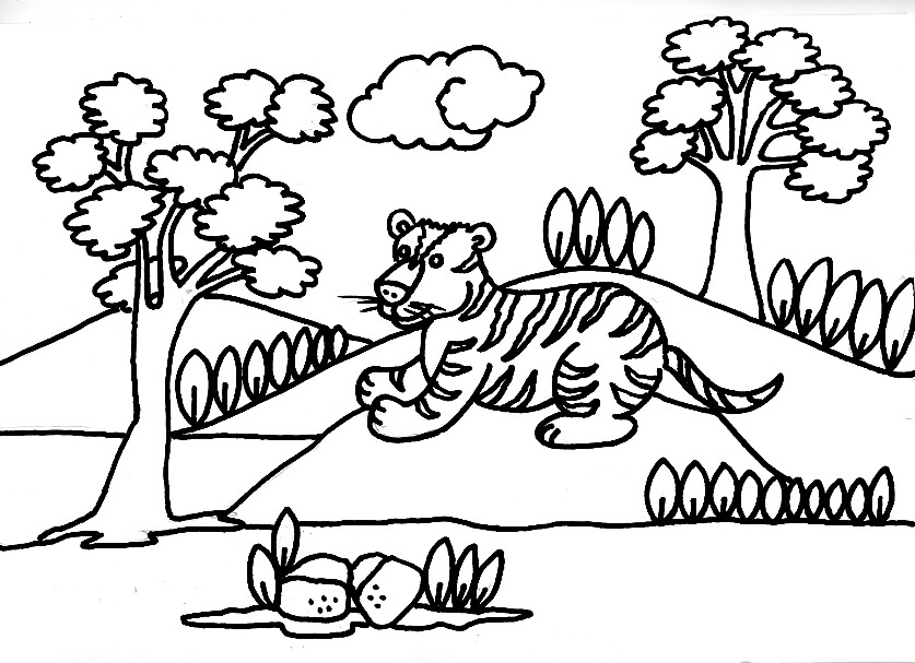 Dibujo Para Imprimir Y Colorear De Tigres Y Leones 2 Jpg Image