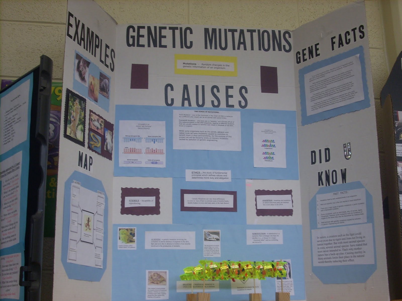 Expert Projects 2010 April 2010