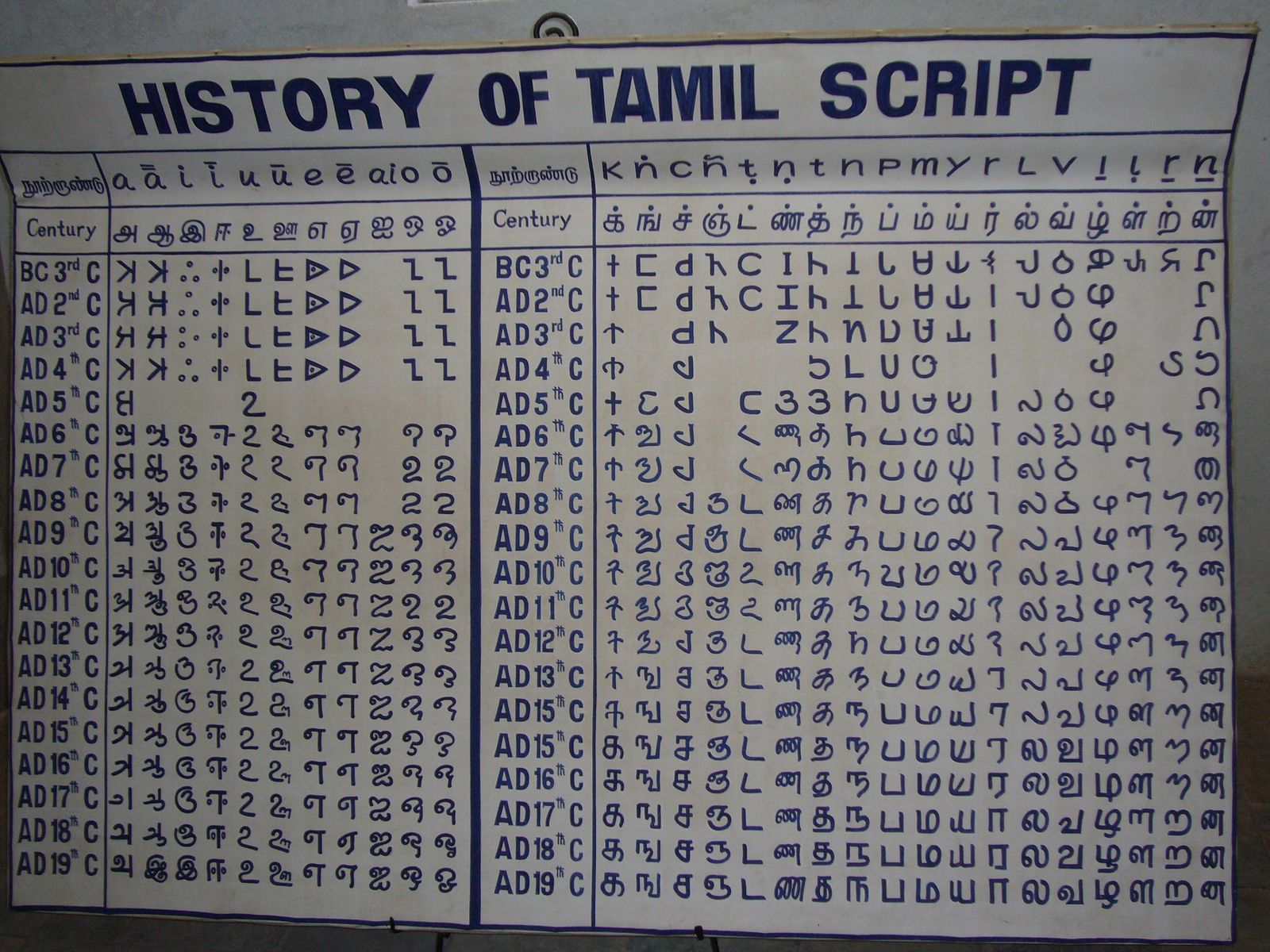 தளவாடி (ஒரு இளைஞனின் ஆரம்பம்..): தமிழ்