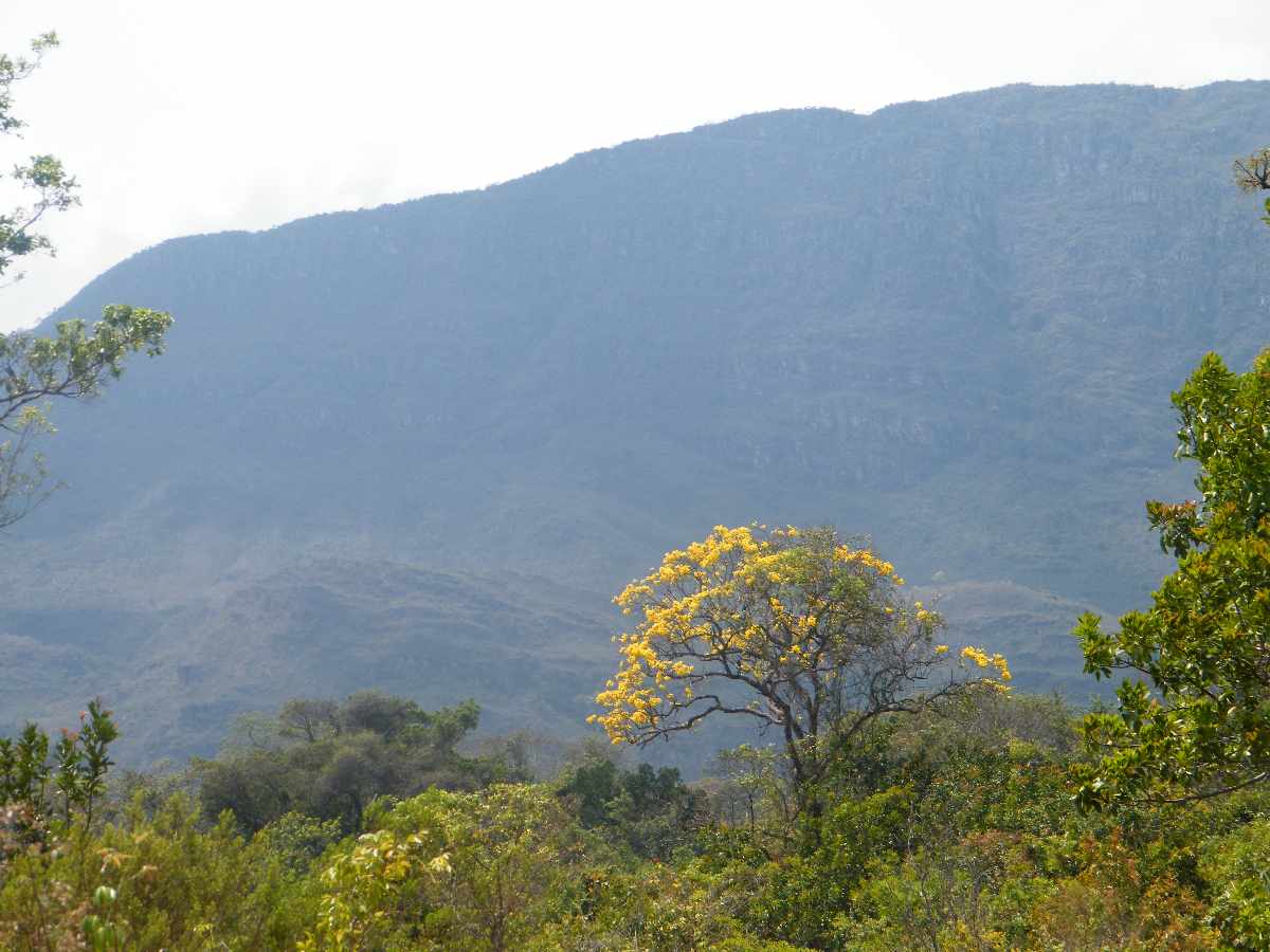 Blog do Ramon Lamar Parque Nacional da Serra do Cipó
