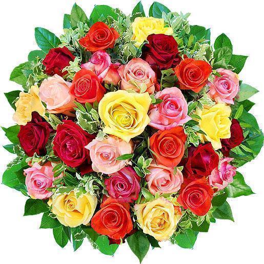 [Flores_1040691057_flores174.jpg]