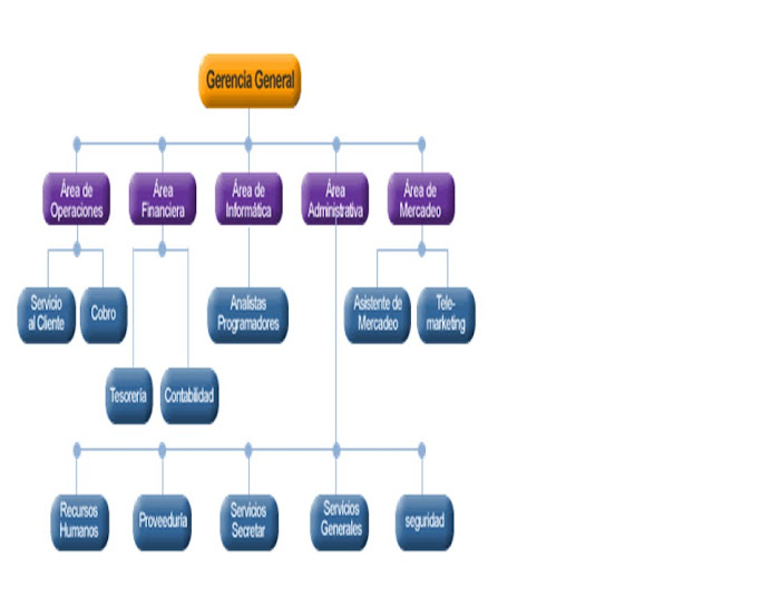 ORGANIZACION DE LA EMPRESA DE ASESORIAS ADMINISTRATIVAS