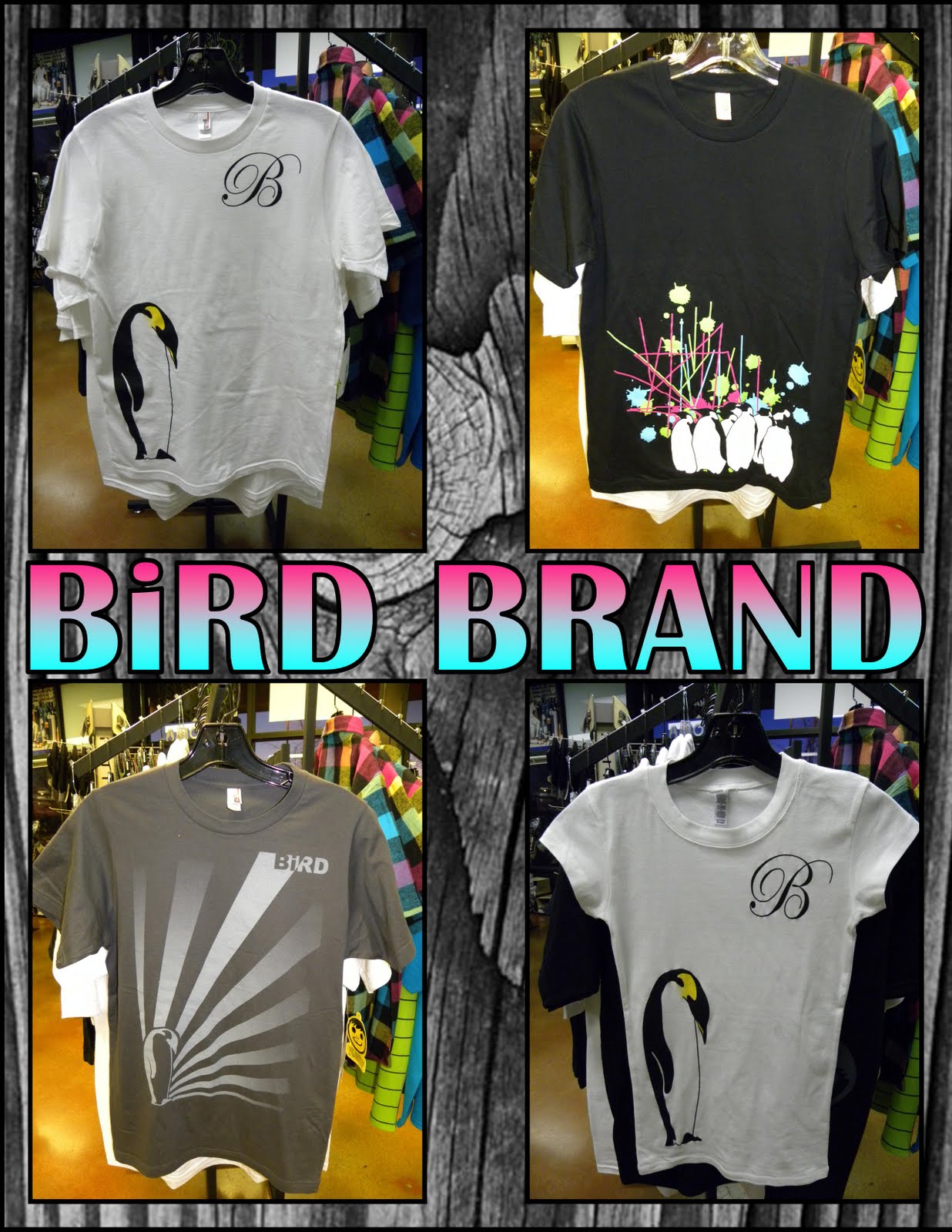 [Bird+brand.jpg]
