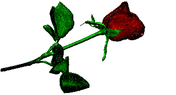 regalero rosa emule scarica