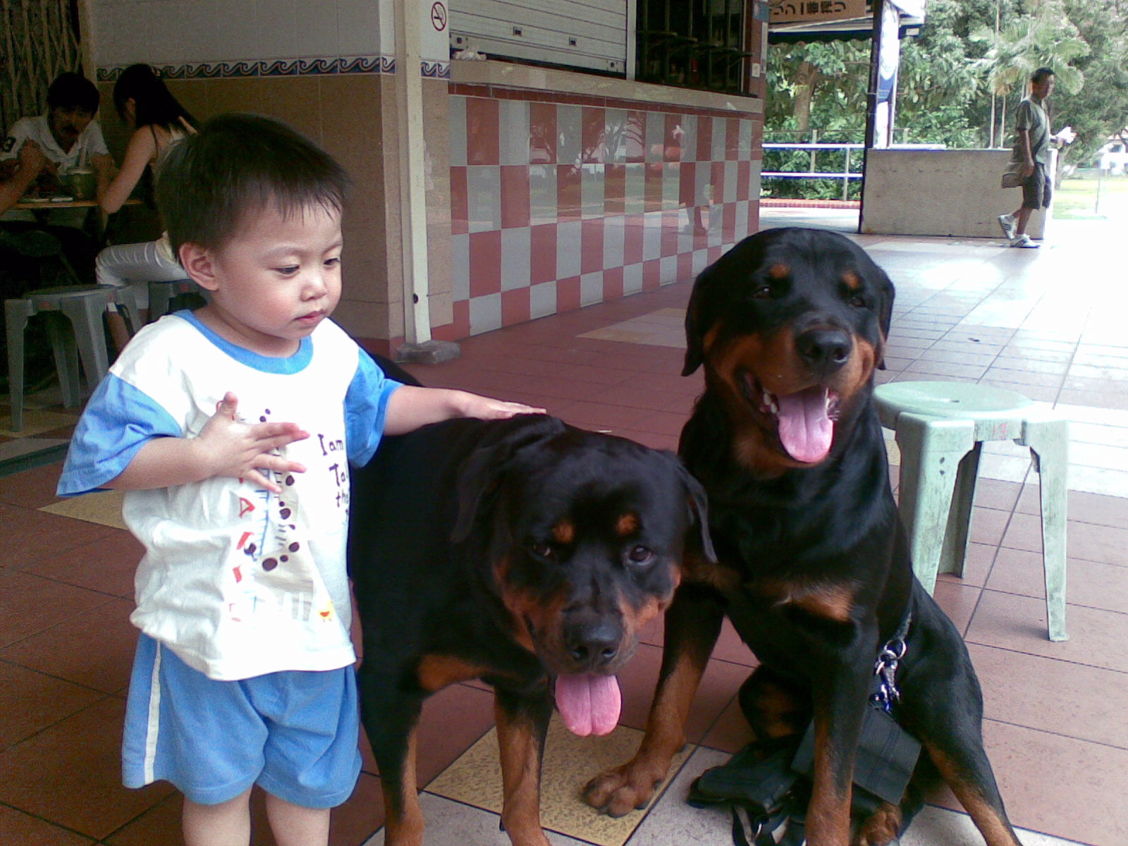 [19042008(011).jpg]