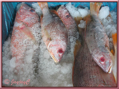 Large fishes for sale at a fish market at Tanjung Sepat, Kuala Langat