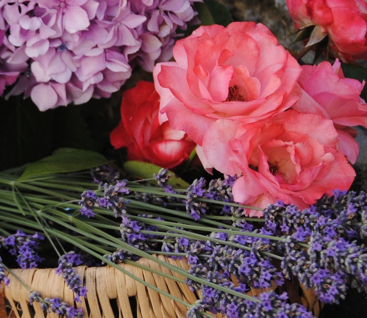 The Carmine Superiore Picture Gallery: Cut flowers, Carmine Superiore