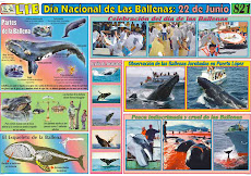 Lamina Día nacional de las ballenas: 22 de Junio