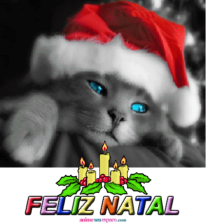 [feliz-natal-222.gif]