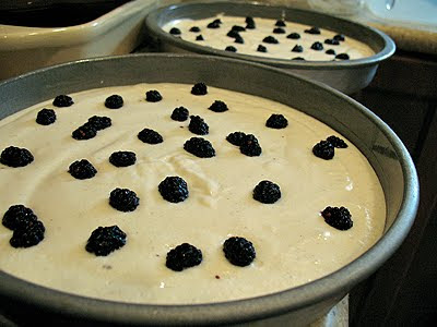 A close up photo of cake batter resting in prepared pans with mulberries on top.