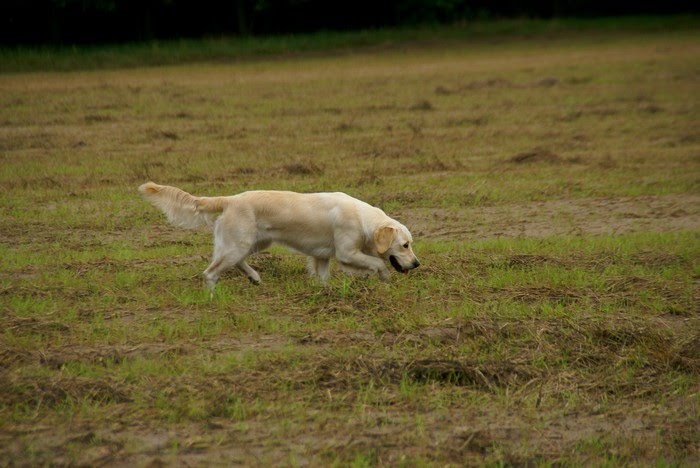 DSC06625.JPG