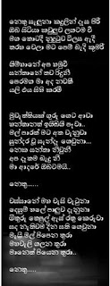 nethu+saluna.jpg