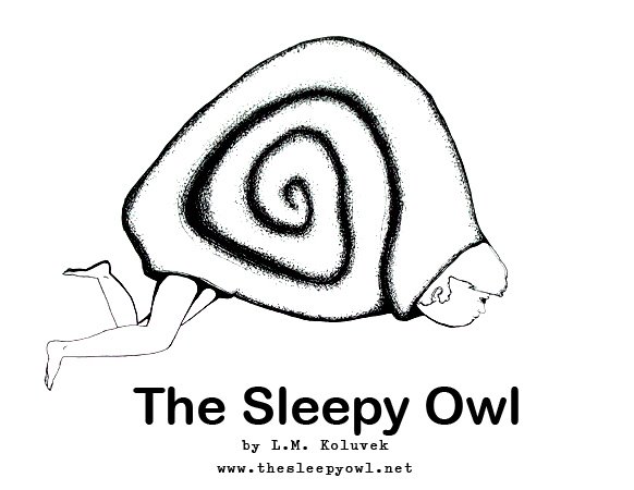 The Sleepy Owl Project