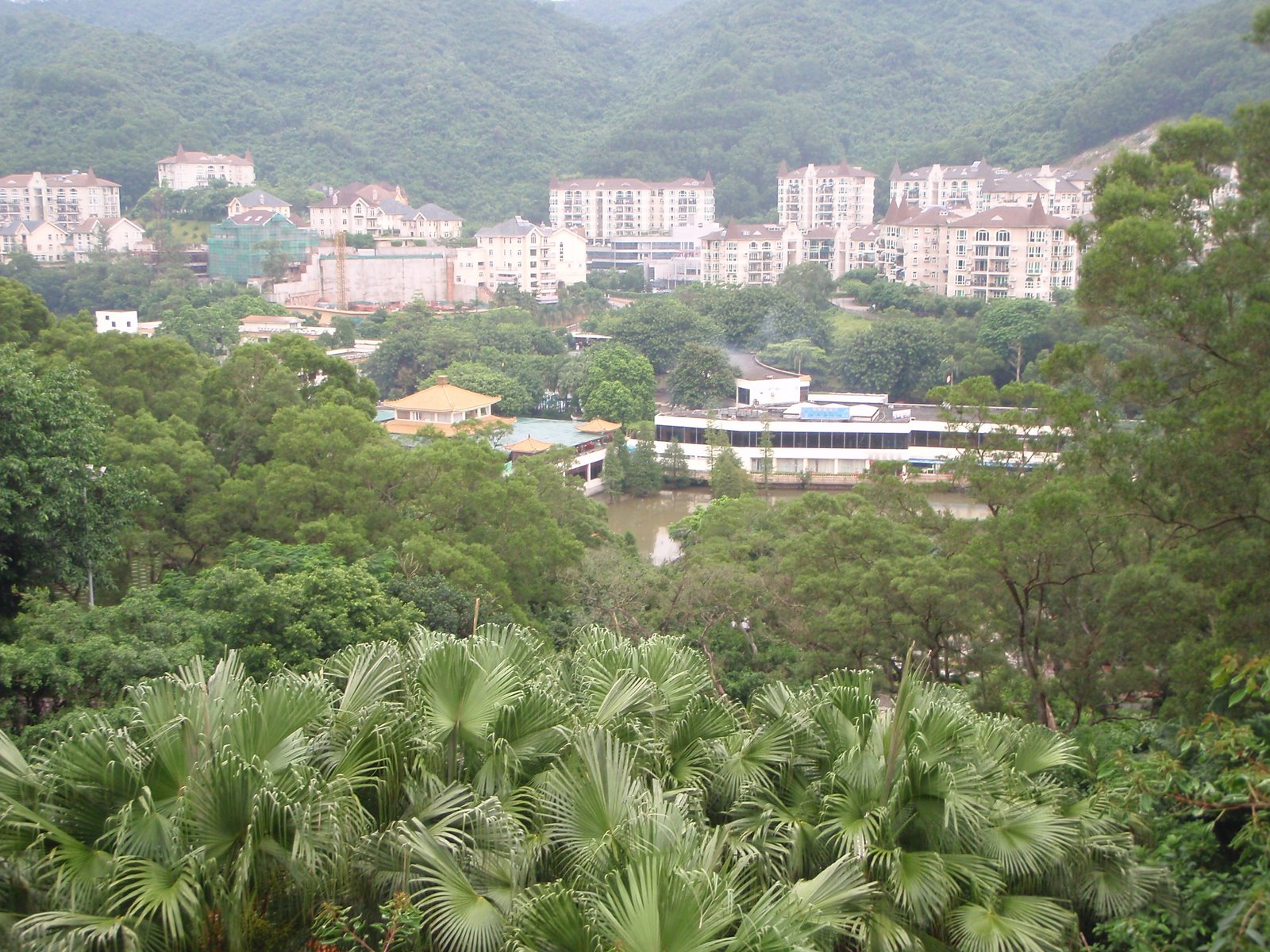 [Lots+of+plants.JPG]