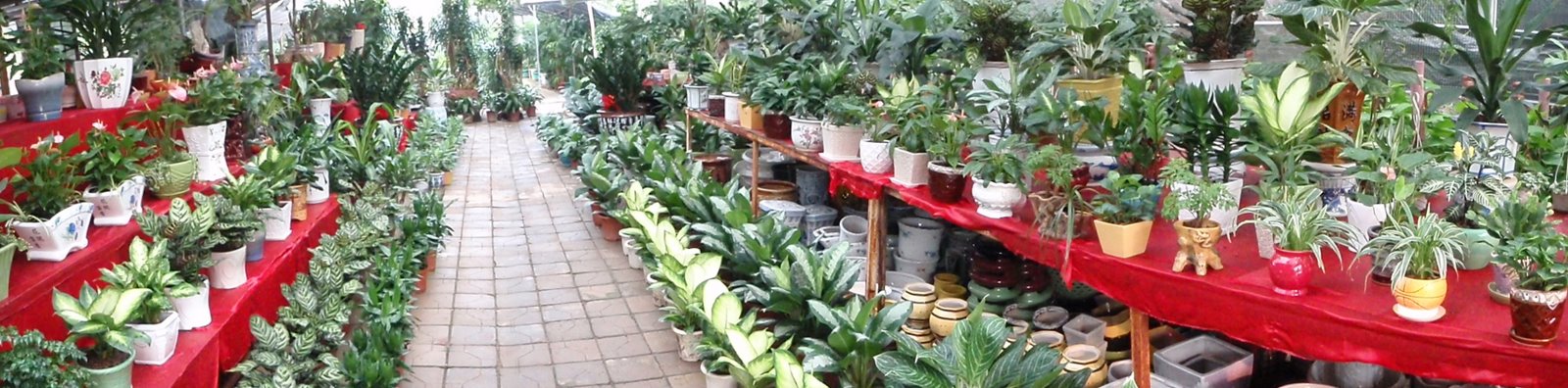 [Garden+Shop+Pano.JPG]