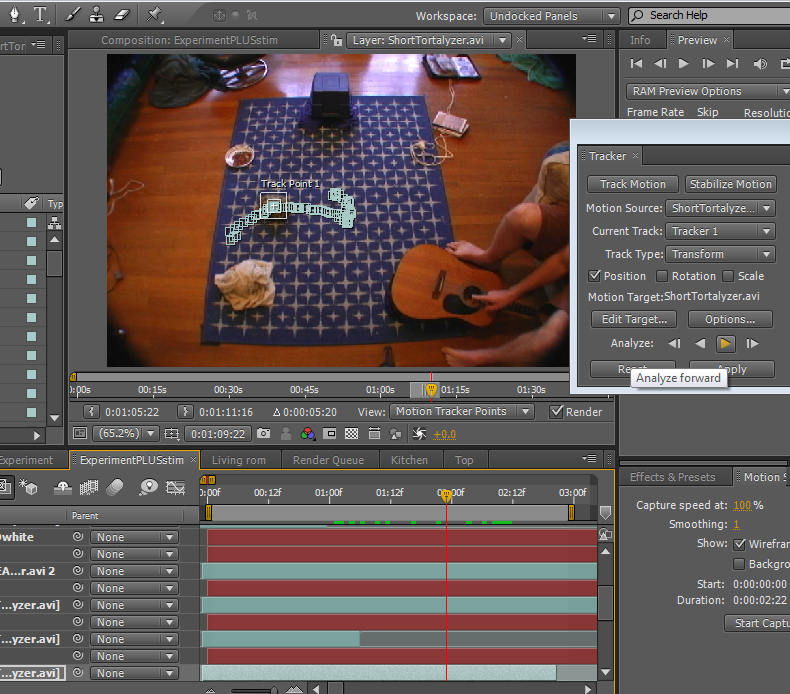 [motion-tracksperiment.png]
