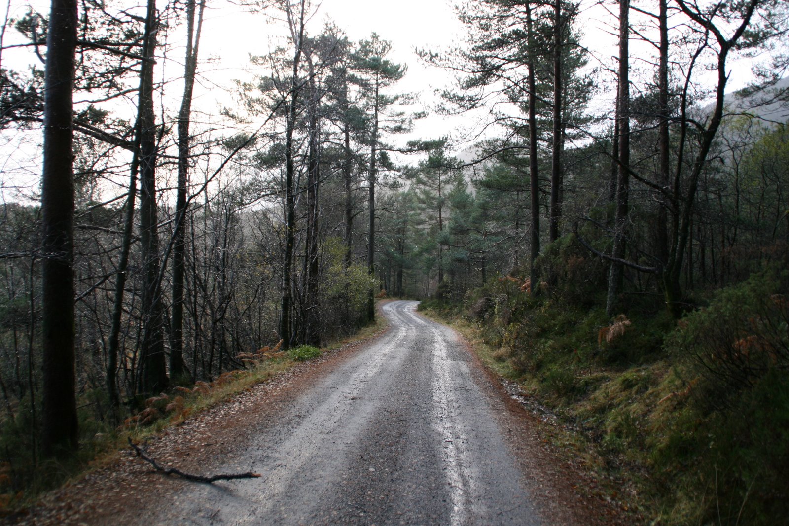 [IMG_0050.jpg]
