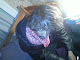 My photo