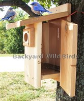 Bluebird Bird House