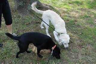 脇の下はなぜこんなに臭うのでしょうか？