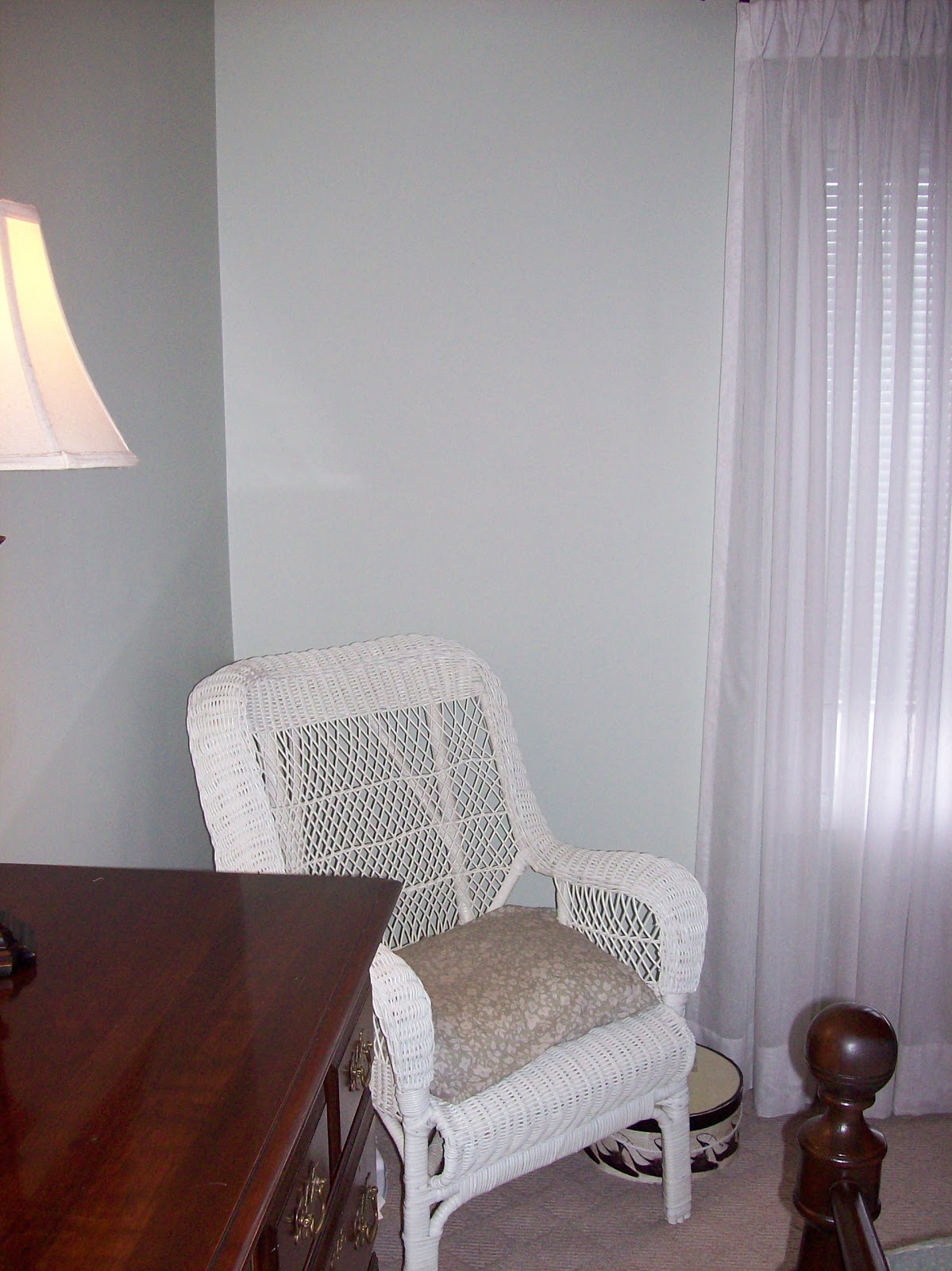 Sharon at Home Something seethrough for the bedroom