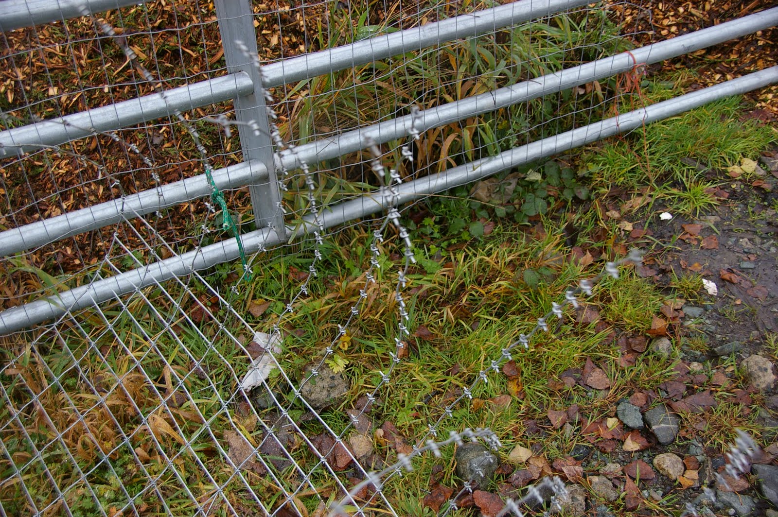 meat Stretching fencing with a tractor and a log