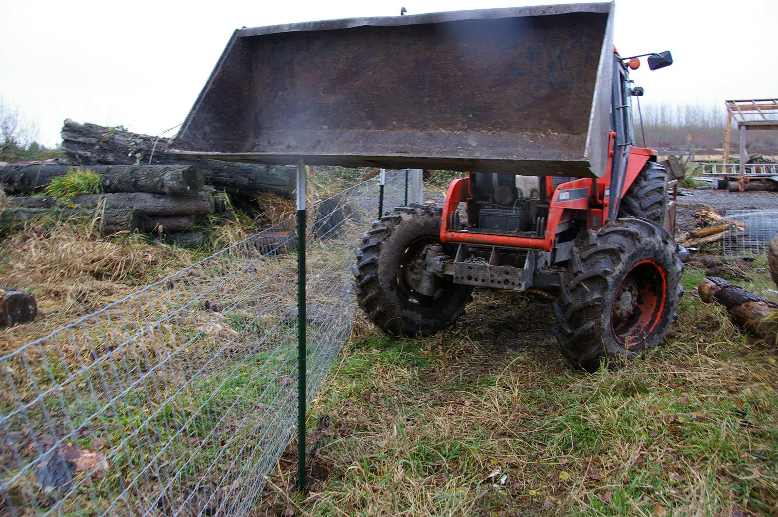 meat Driving T posts with a tractor