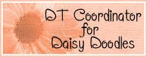 DT Coordinator for Daisy Doodles