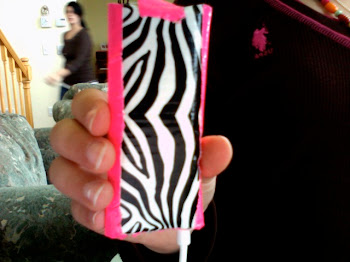 The back of duct tape ipod cover!