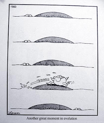 Visualizing Evolution