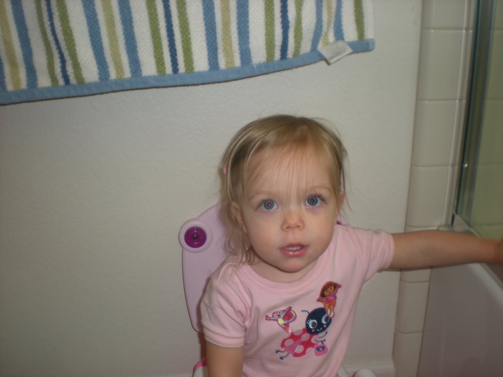 bridging-our-lives-together-potty-training-not-so-much