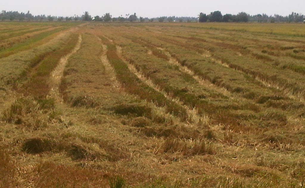 Makna Perkataan Iktibar / Mengambil ~ mengambil pengajaran (contoh
