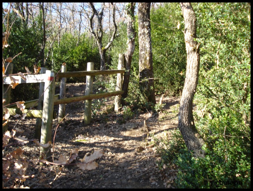 javi aventuras TAJONAR 04022011