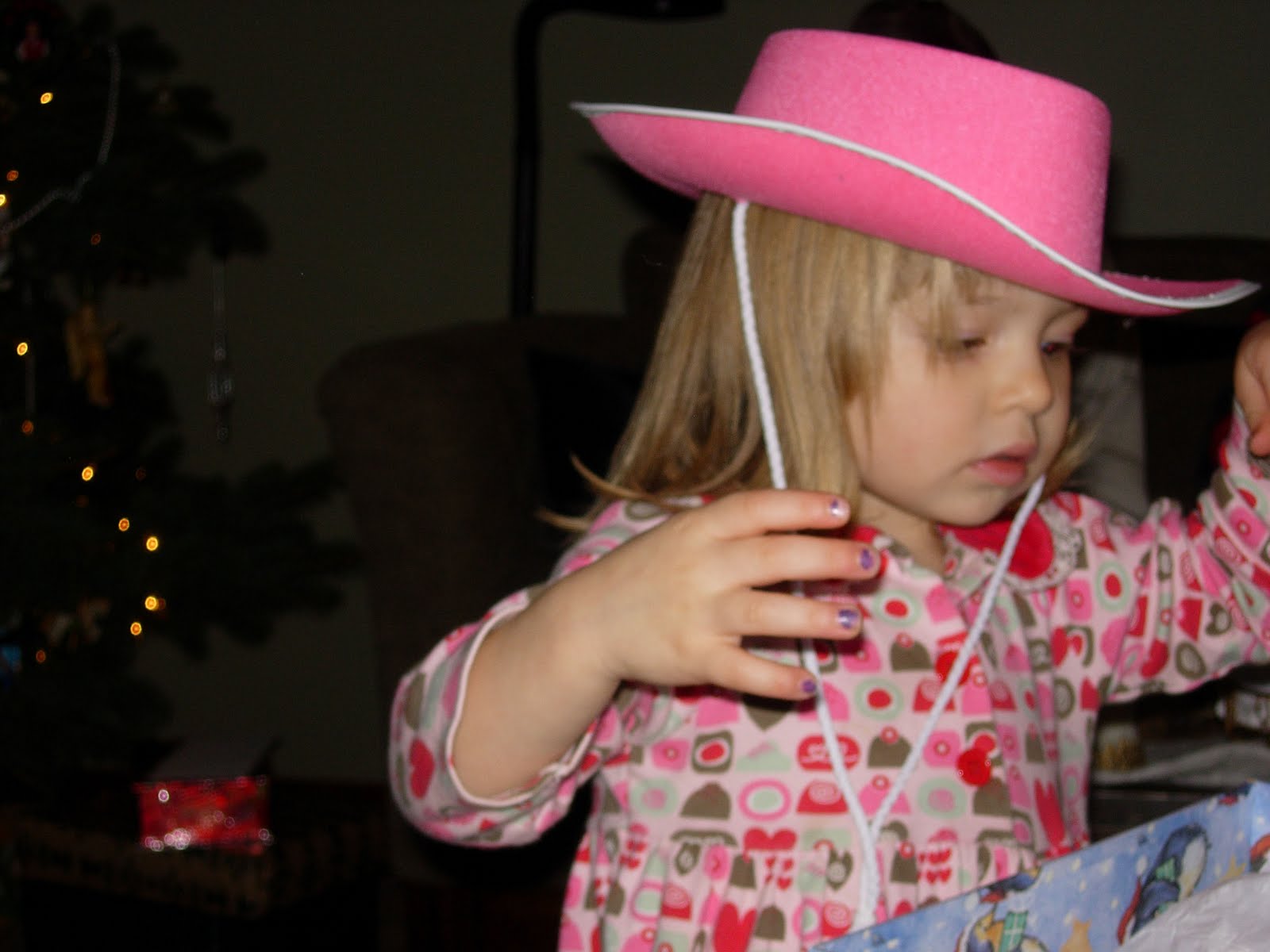 [the+pink+hat.jpg]