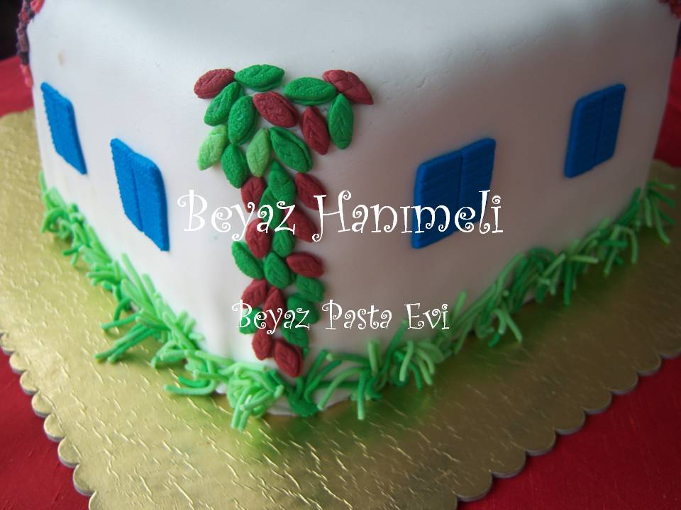 BEYAZ HANIMELİ Alev ve Levent�in doğum günü pastaları2 Bodrum evi