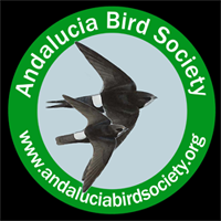 Sociedad Ornitológica Andaluza - ¡Únete a ABS!