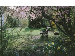 Unser Garten im Frühling