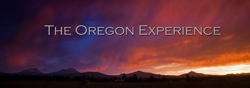 The Oregon Experience