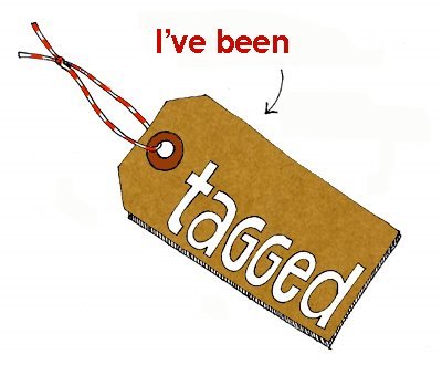 [I've+been+tagged.jpg]