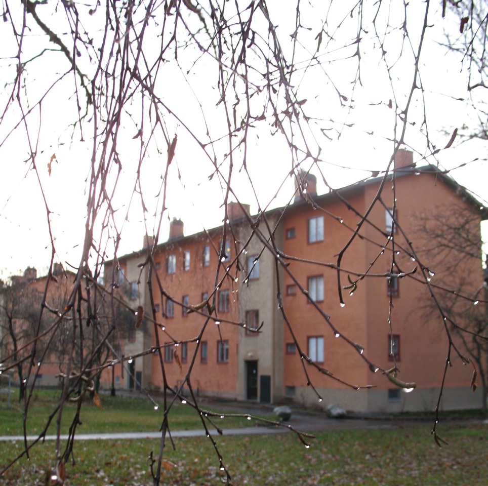 [IMG_0201.jpg]