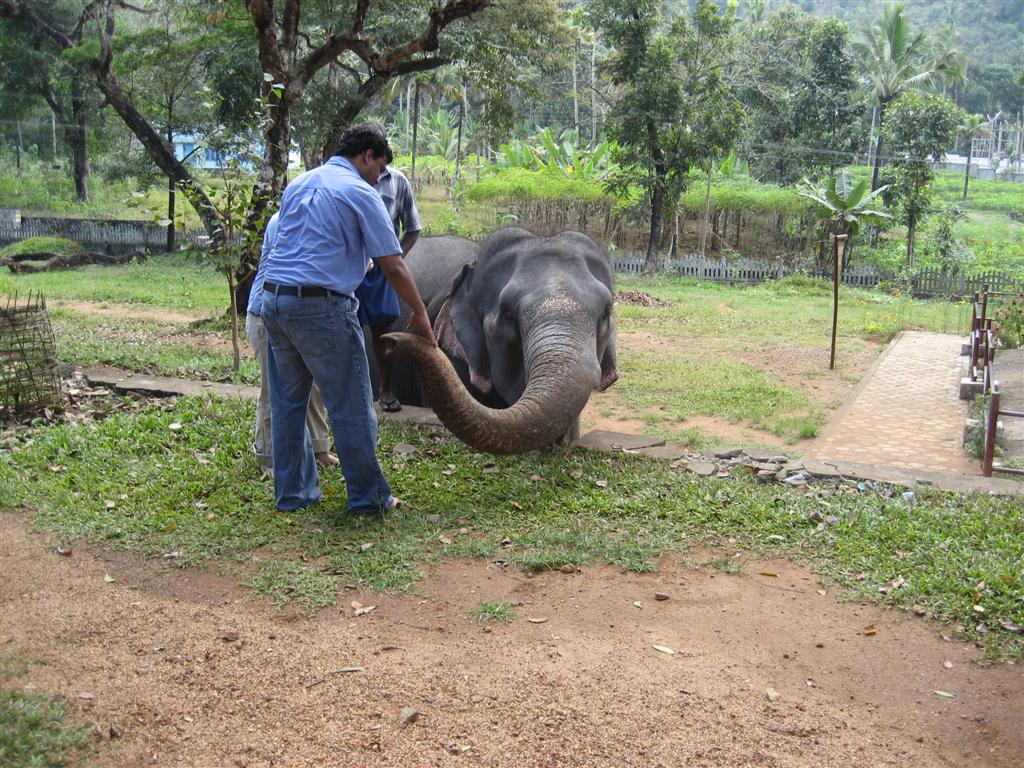 [Pictures+from+India+061+(Large).jpg]