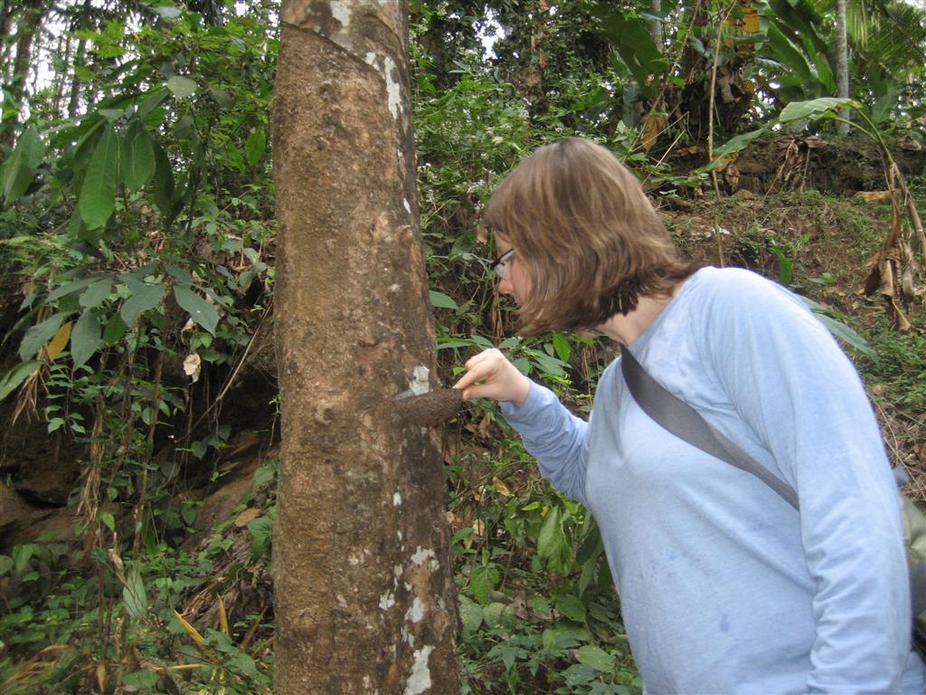 [Pictures+from+India+066+(Large).jpg]