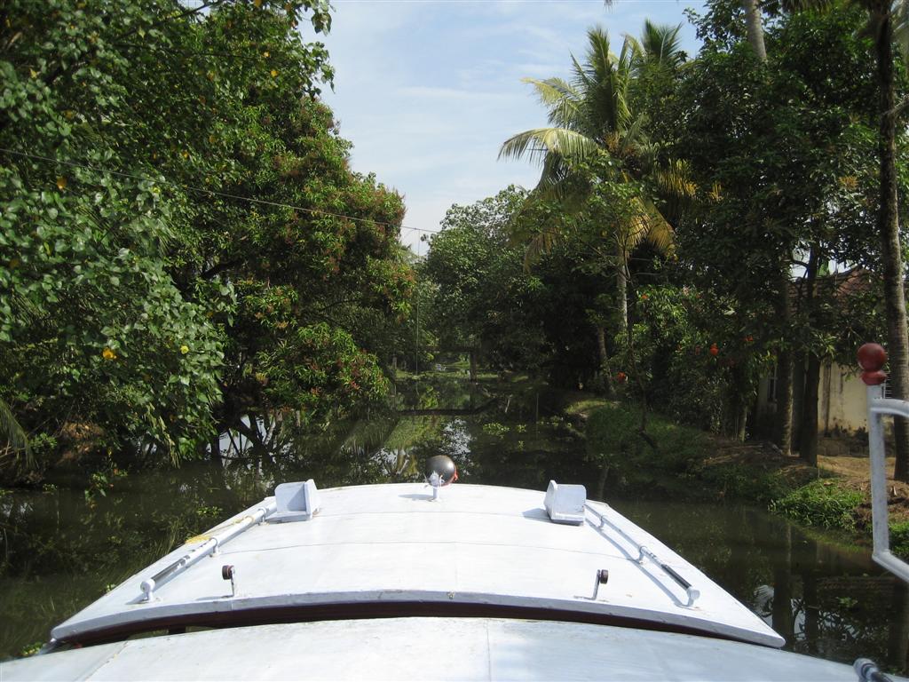 [Pictures+from+India+087+(Large).jpg]