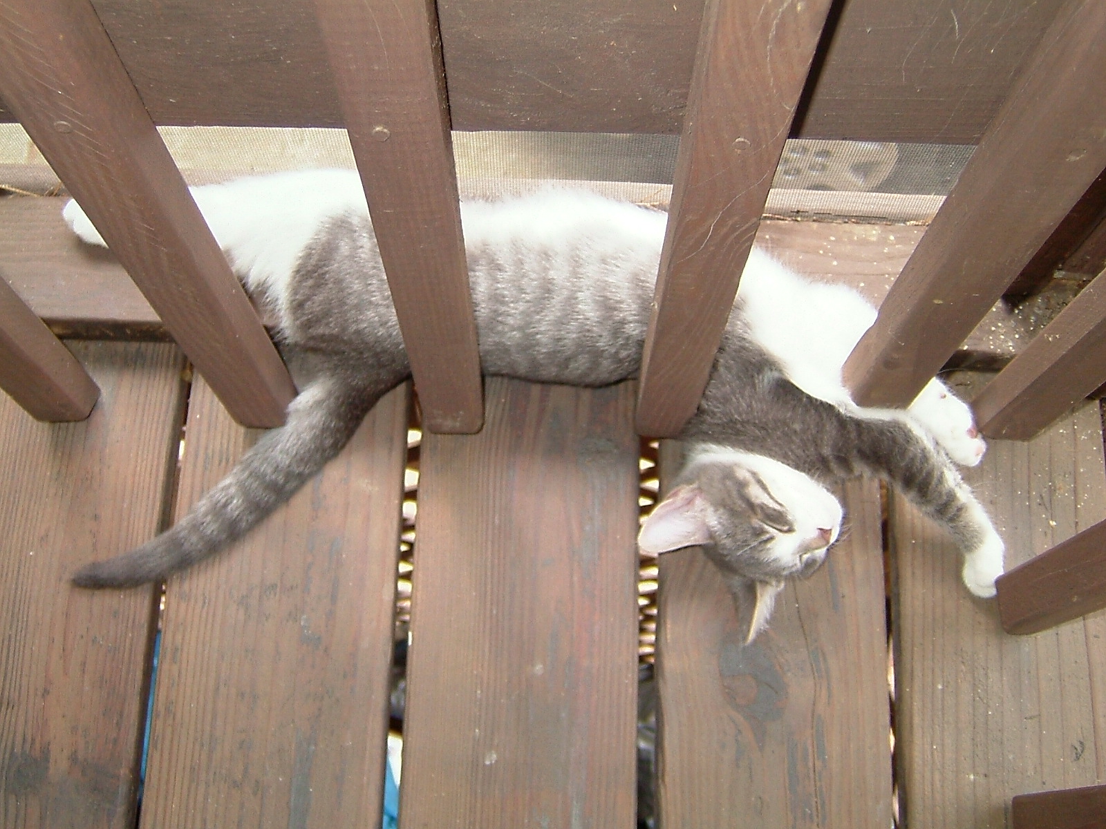 [Gatlinburg+trip+05-07+048.jpg]